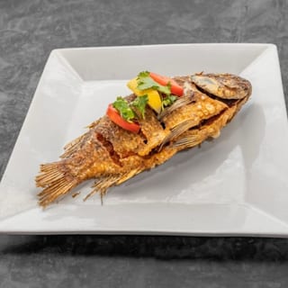Tilapia (Fish)